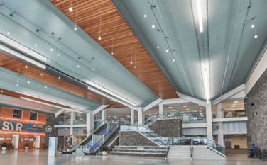 Rama Tauranga Tauranga: Te Whakataurite i nga Tikanga me te Mahi